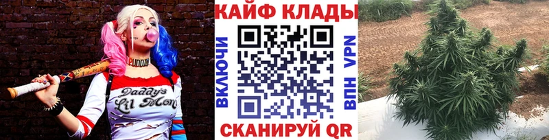 Купить Свирск Cocaine Галлюциногенные грибы СК Конопля Меф