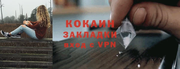 spice Аркадак
