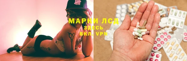spice Аркадак