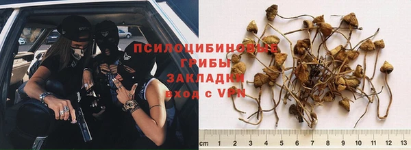 spice Аркадак