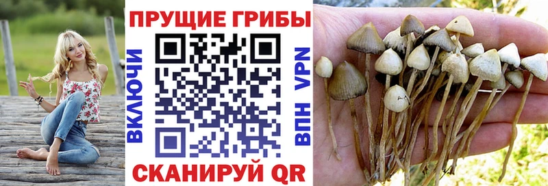 OMG рабочий сайт  маркетплейс формула  Псилоцибиновые грибы MAGIC MUSHROOMS  Свирск 